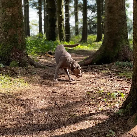 Auszeit Bergliebe Apartmán *