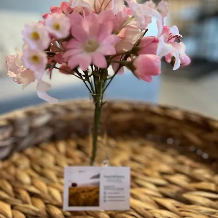 Auszeit Bergliebe Appartement *